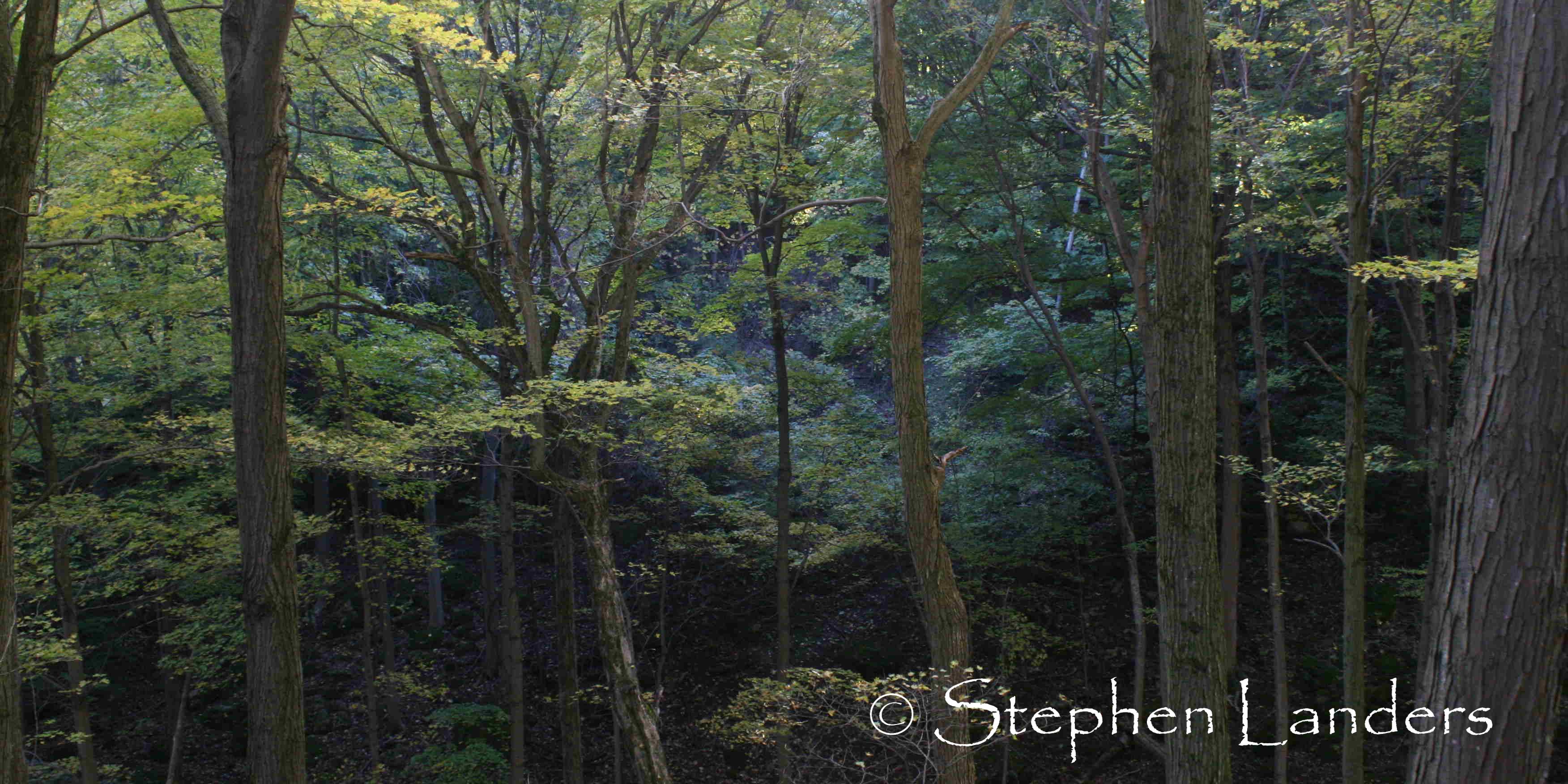 IMG_4298_1Lowres.jpg