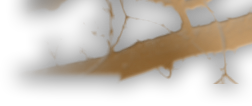 dsgn_898_pic4.png