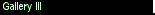 Gallery III